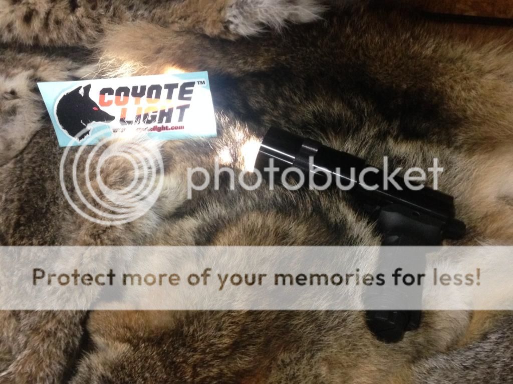 Best costeffective hunting light? Texas Hunting Forum